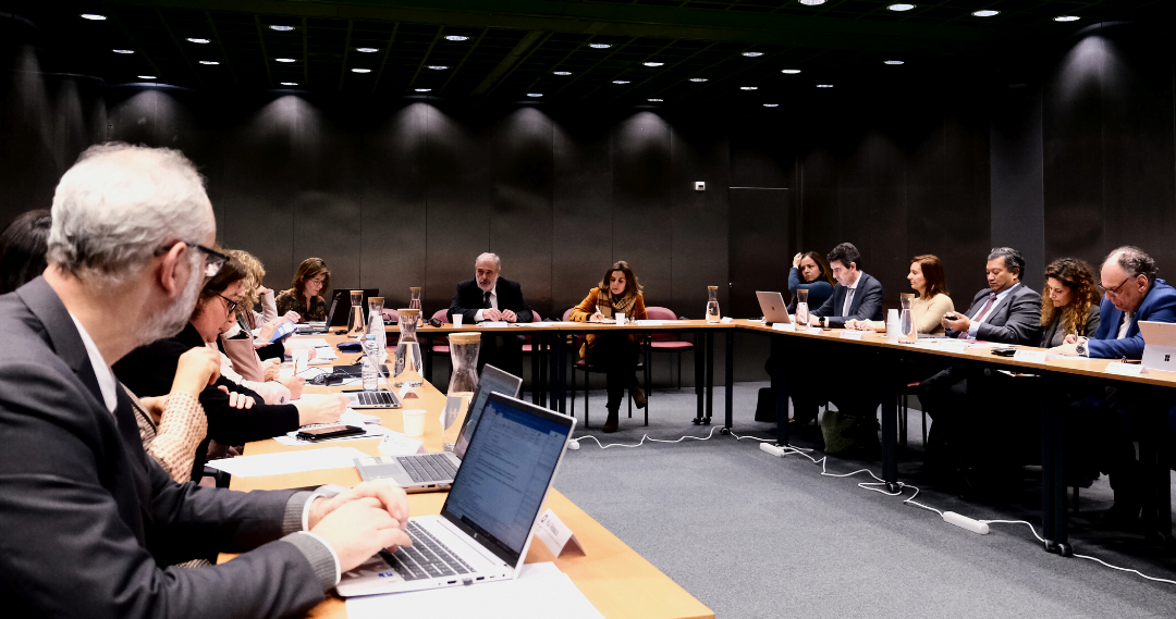 REPLAN aprova regimento interno e discute Plano de Ação