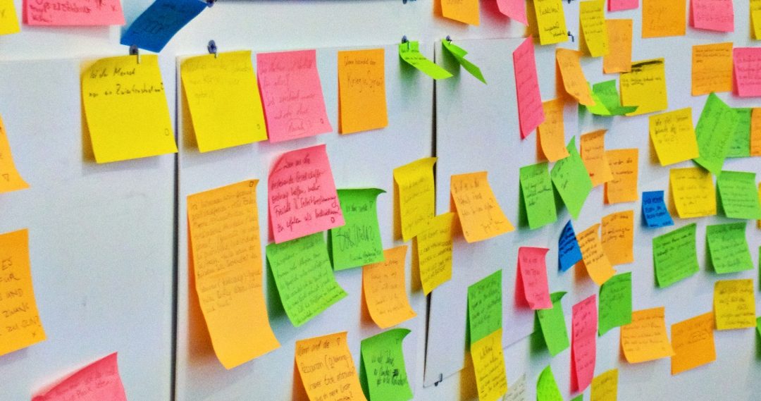 Ciência para a Política Pública: concluída a 1.ª fase de workshops