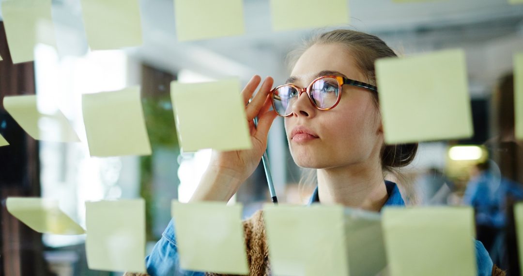 REPLAN publica taxonomia de IP e glossário de políticas públicas