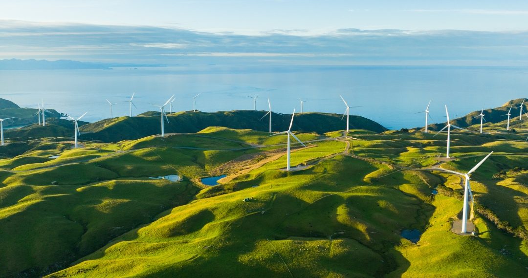 Conta Geral do Estado inclui pela primeira vez capítulo sobre ODS