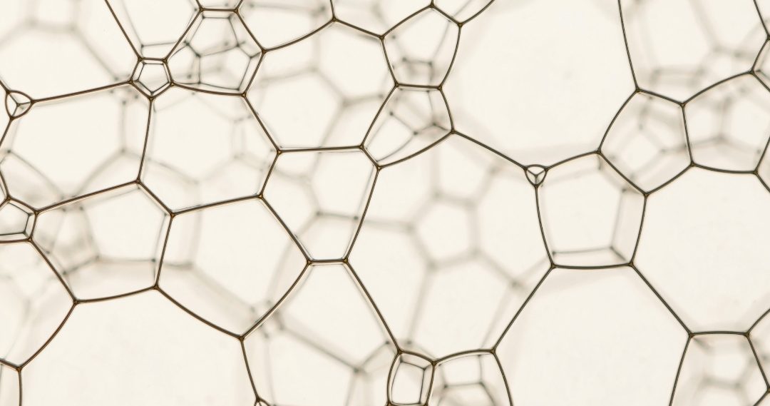 Lançamento da 3.ª edição do concurso Science4Policy pelo PLANAPP