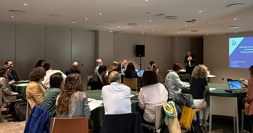 Desenvolvimento sustentável: coerência política e competências-chave