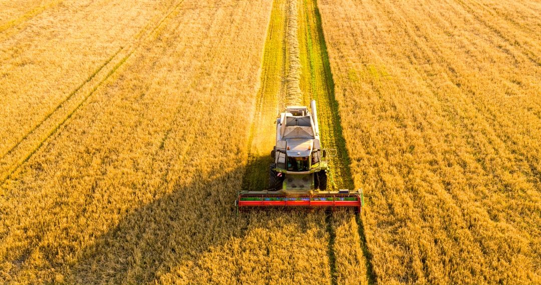 Setores com ganhos de produtividade perdem peso na economia