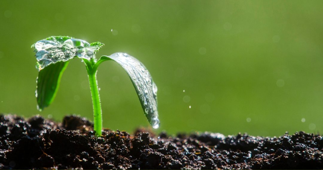 PLANAPP e CHANGE apontam caminhos para a sustentabilidade do solo e água