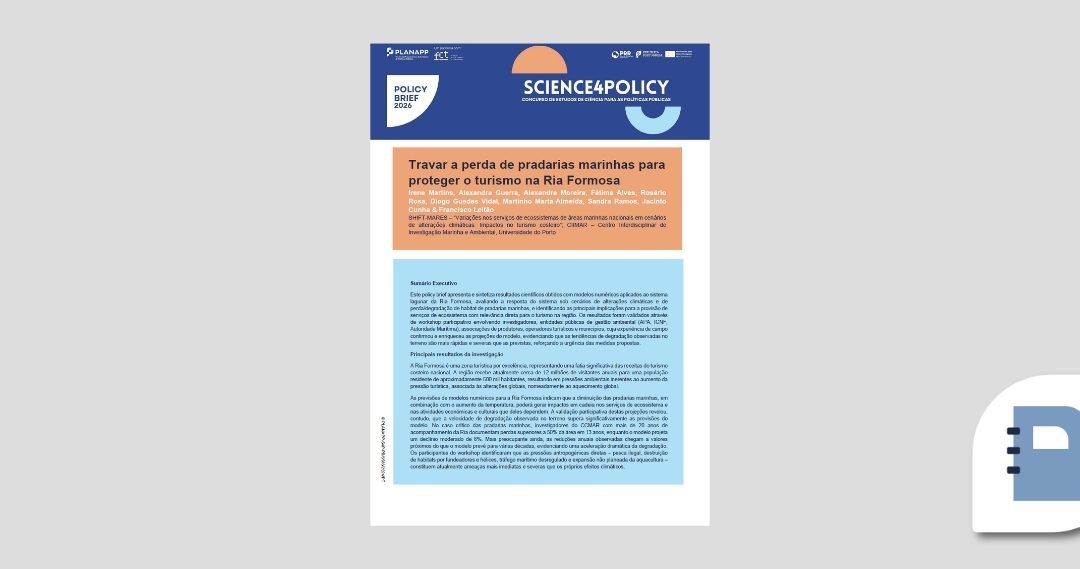 Pradarias marinhas e turismo na Ria Formosa – S4P-24